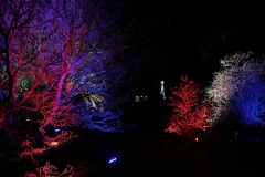 IMG_6012